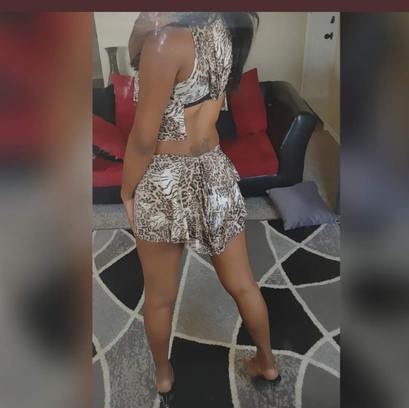 Custom Tiger 2pc set - Picture 3 of 3